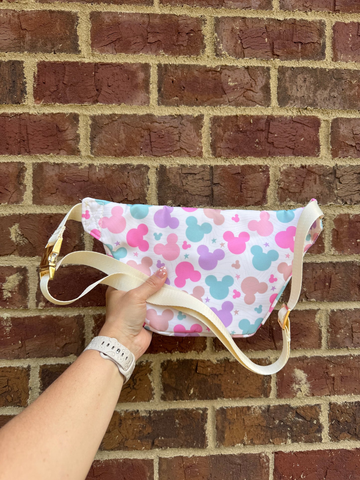 Mutli Color Mouse LARGE Fanny Pack
