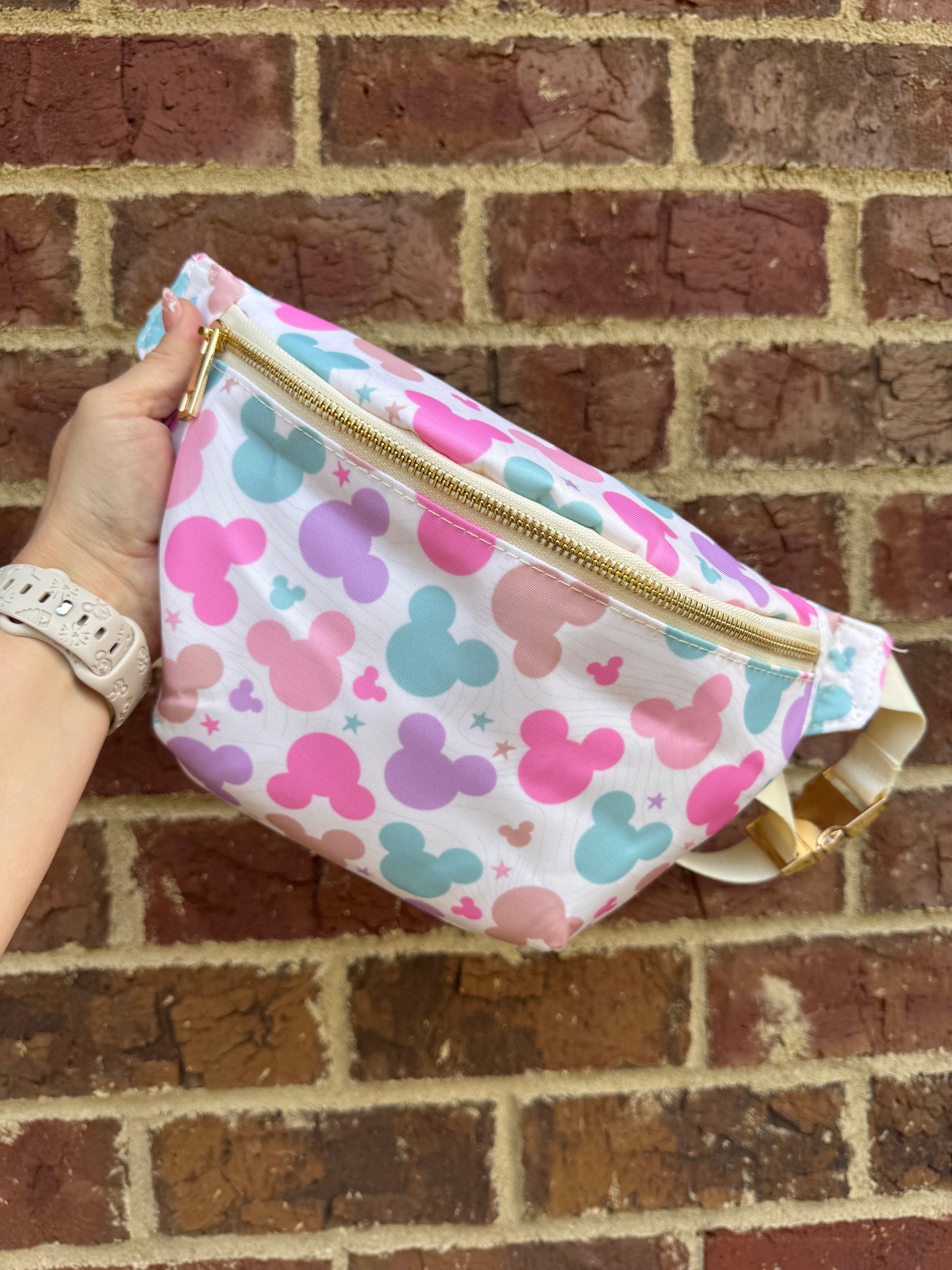 Mutli Color Mouse LARGE Fanny Pack
