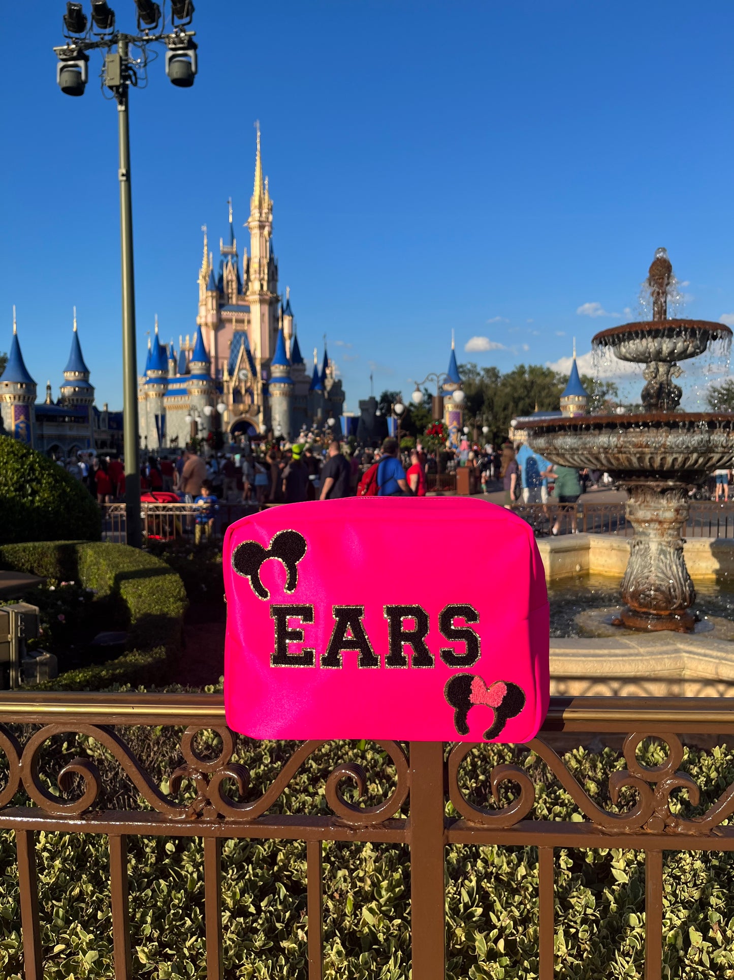 EARS Bag