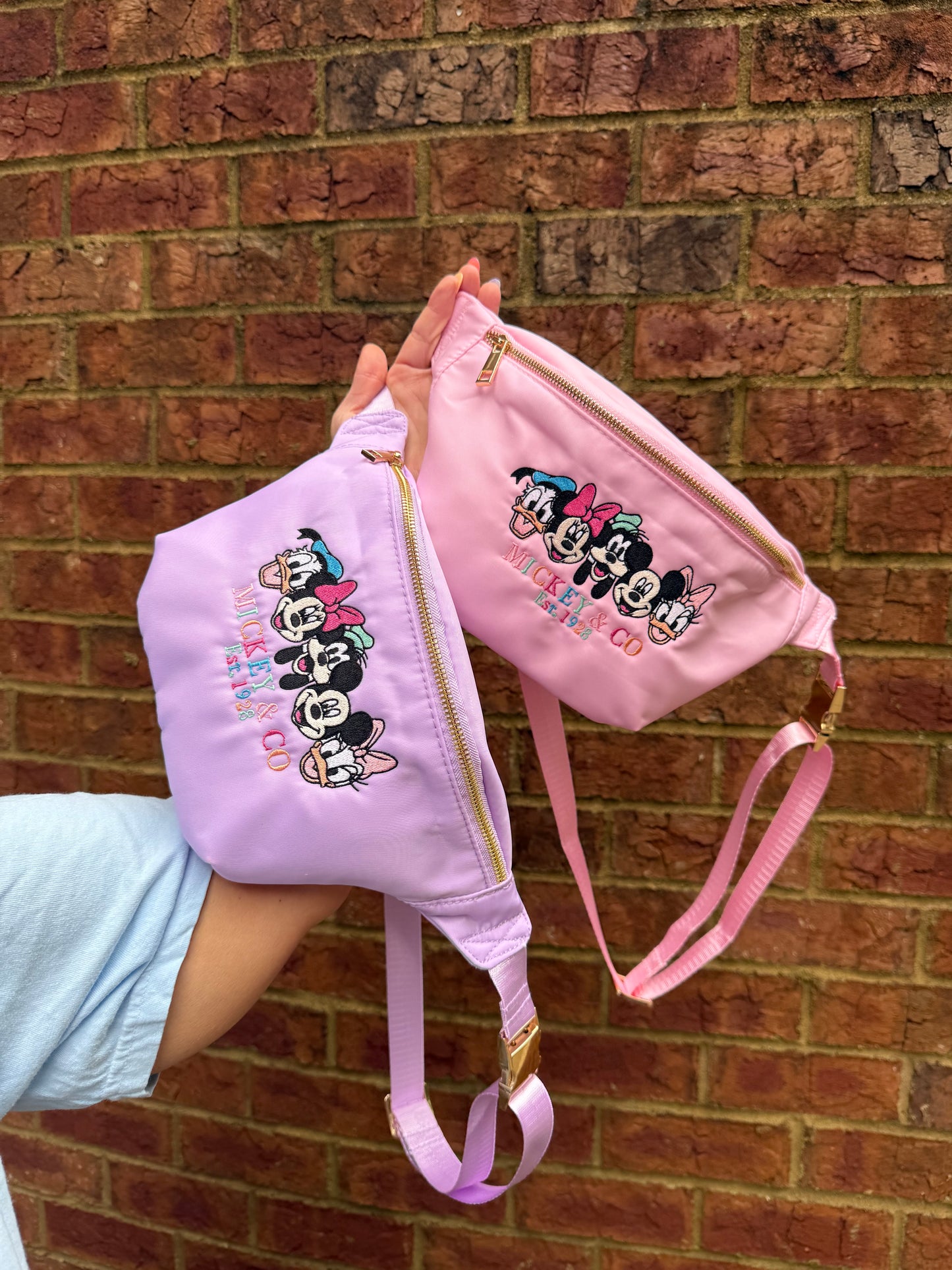 Mouse and Co Large Embroidered Fanny Pack