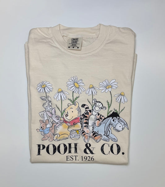 Honey and Friends in Daises Comfort Colors Shirt