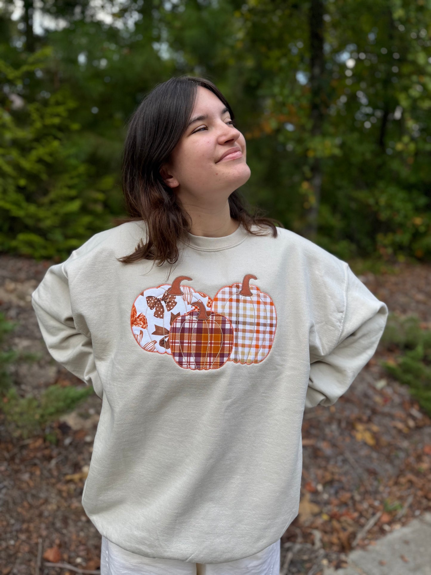 Triple Pumpkin Appliqué Embroidered Sweatshirt